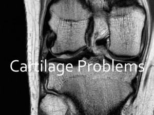 cartilage problems